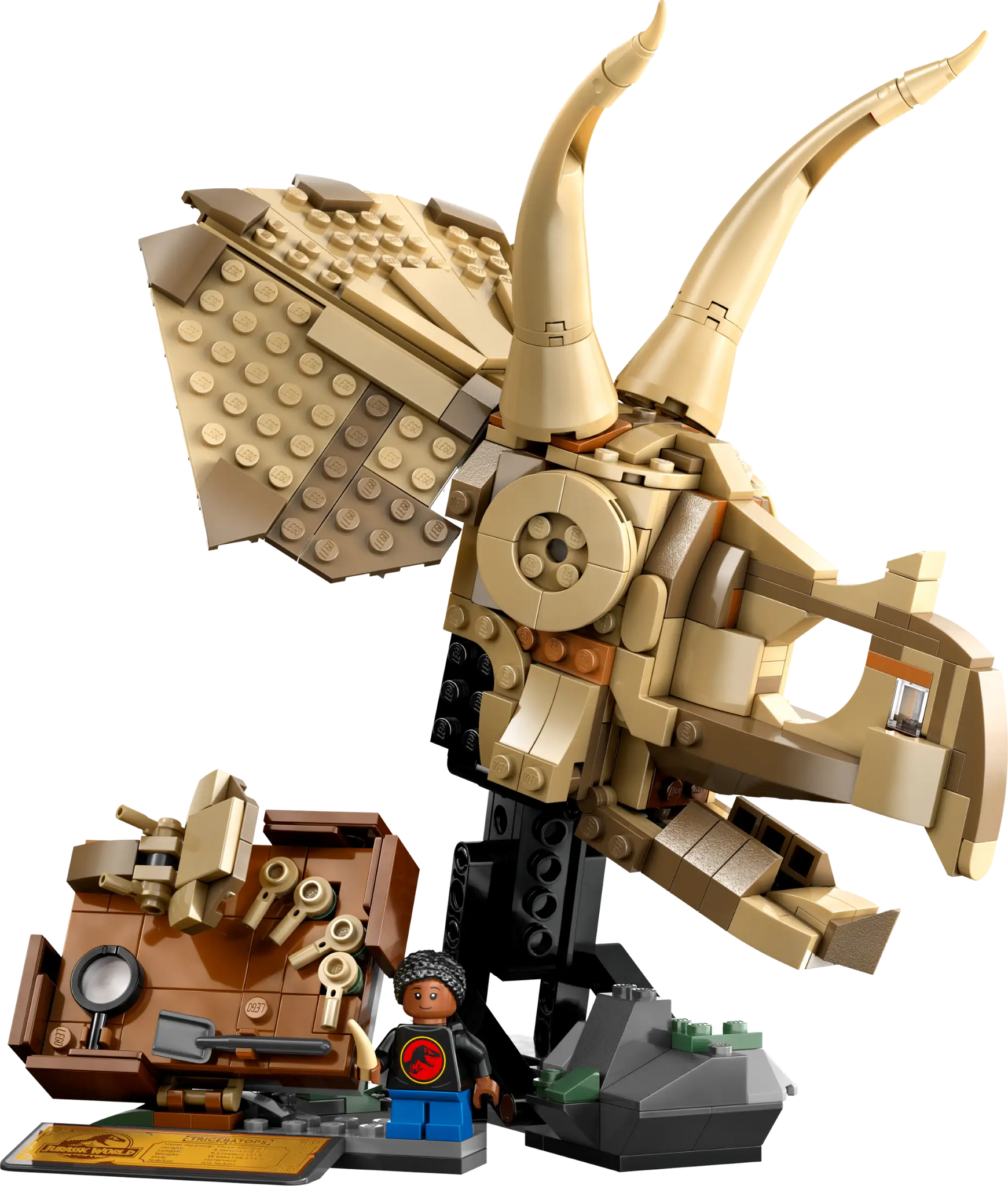 LEGO Jurassic World Triceratops Skull Fossil Set 76969