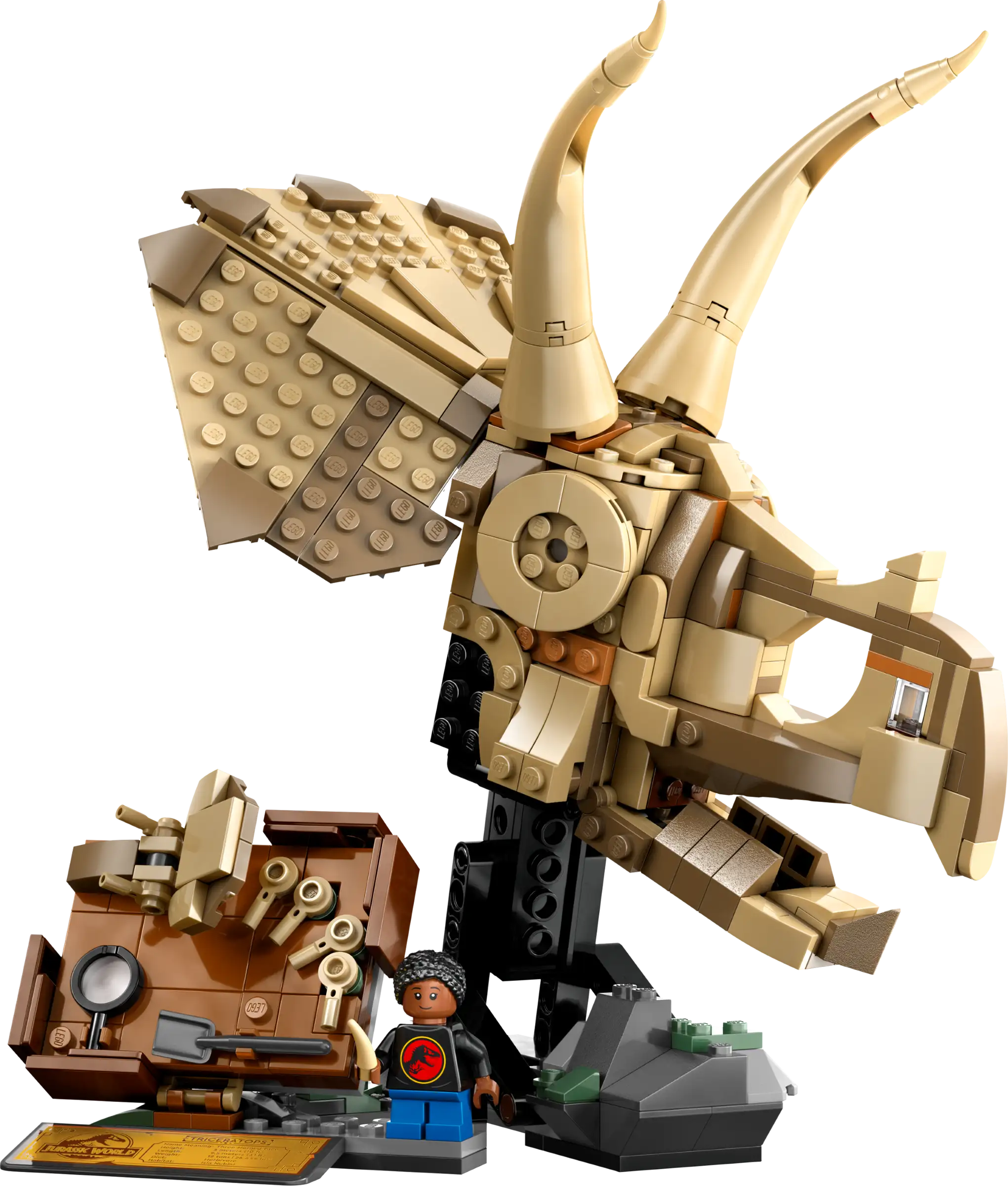 LEGO Jurassic World Triceratops Skull Fossil Set 76969